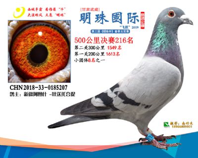 2019武威明珠216