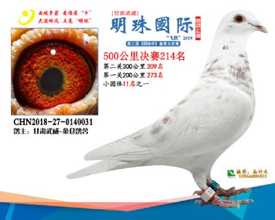 2019武威明珠214