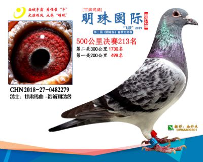 2019武威明珠213