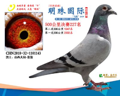 2019武威明珠227