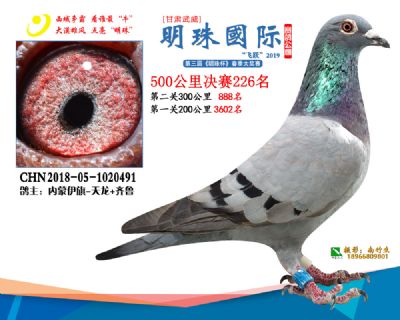 2019武威明珠226