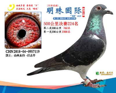 2019武威明珠224