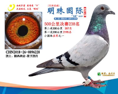 2019武威明珠238