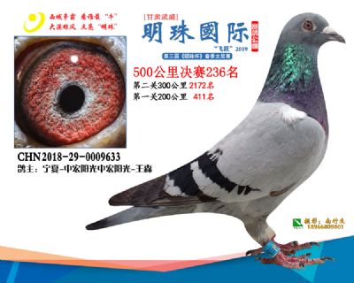 2019武威明珠236