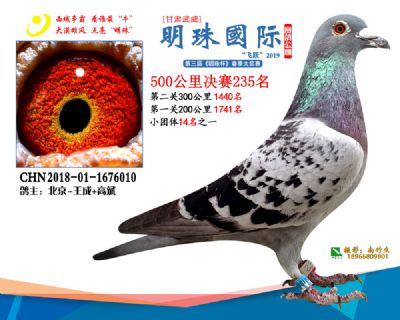 2019武威明珠235
