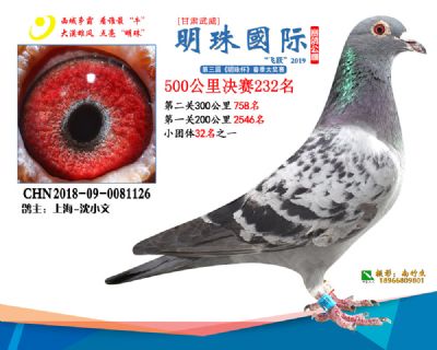 2019武威明珠232