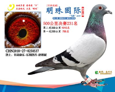 2019武威明珠231