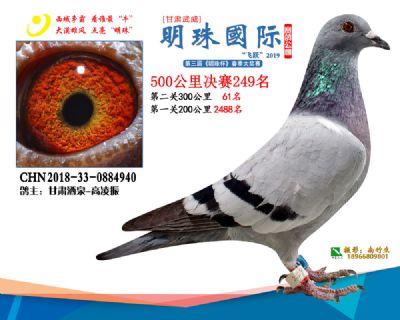 2019武威明珠249