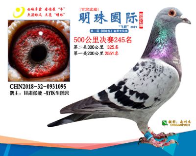 2019武威明珠245