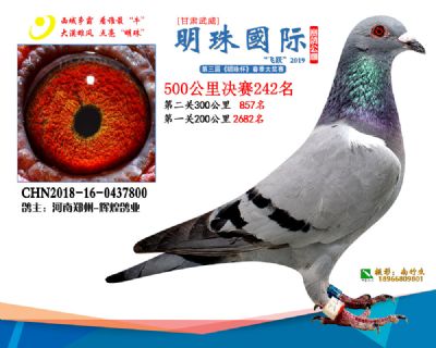 2019武威明珠242