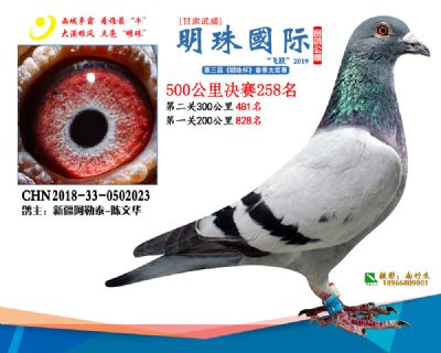 2019武威明珠258