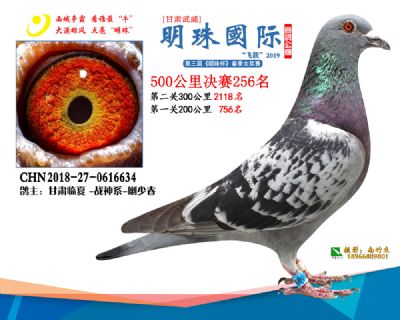 2019武威明珠256