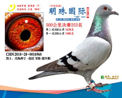 2019武威明珠253