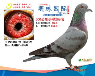 2019武威明珠269