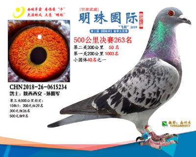 2019武威明珠263