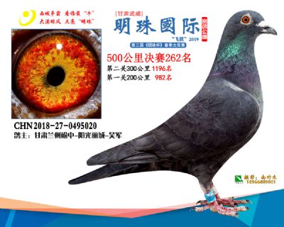 2019武威明珠262