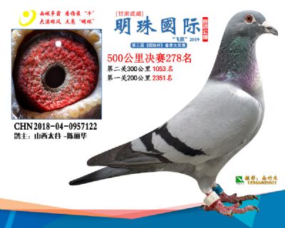 2019武威明珠278