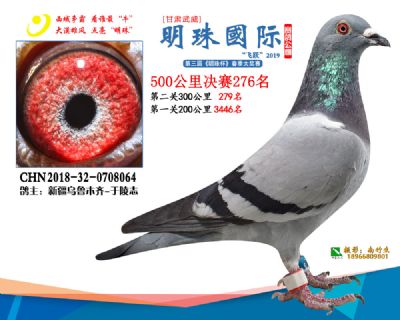 2019武威明珠276