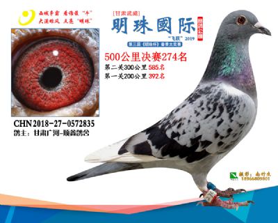 2019武威明珠274