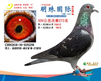 2019武威明珠272