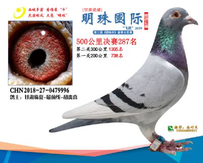 2019武威明珠287