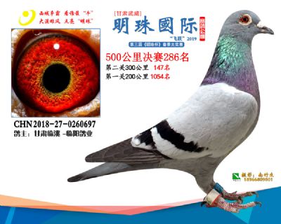 2019武威明珠286