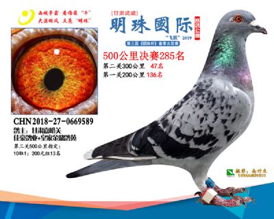 2019武威明珠285