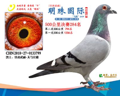 2019武威明珠284