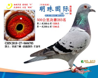 2019武威明珠283