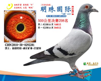 2019武威明珠298