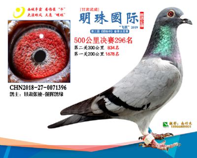 2019武威明珠296