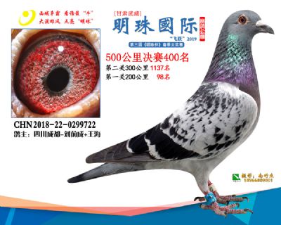2019武威明珠400