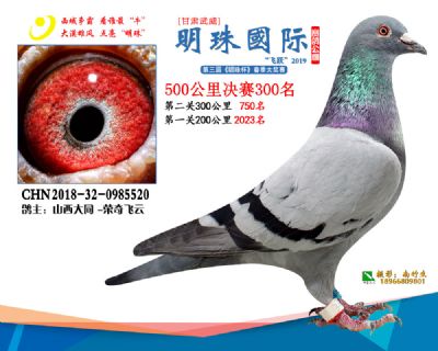 2019武威明珠300