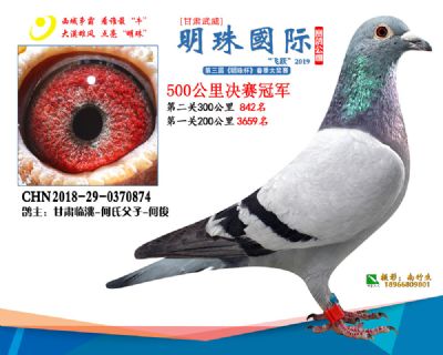 2019武威明珠1