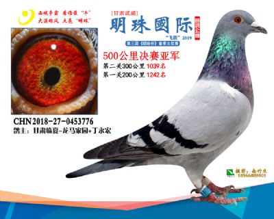 2019武威明珠2