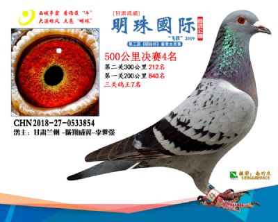 2019武威明珠4