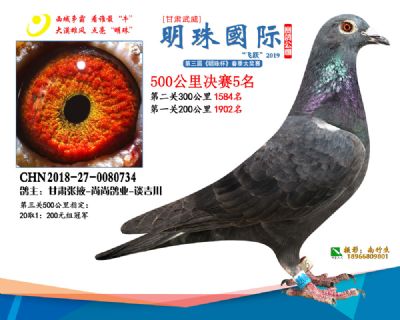 2019武威明珠5