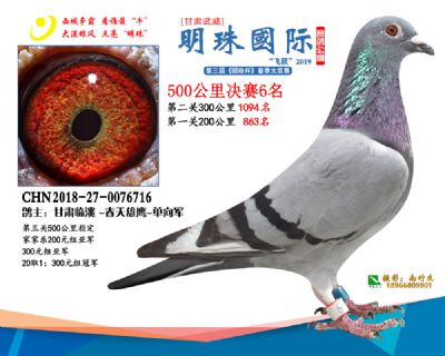 2019武威明珠6