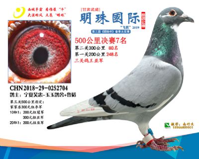 2019武威明珠7