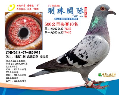 2019武威明珠10
