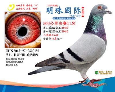 2019武威明珠11