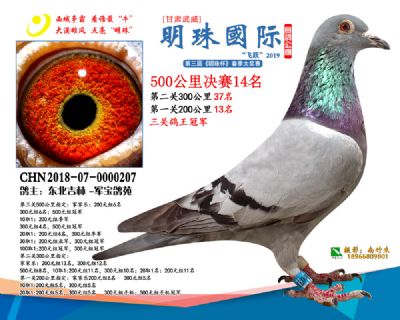 2019武威明珠14