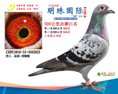 2019武威明珠21