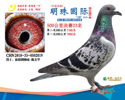 2019武威明珠23