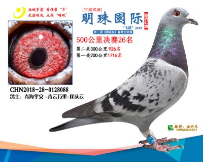 2019武威明珠26