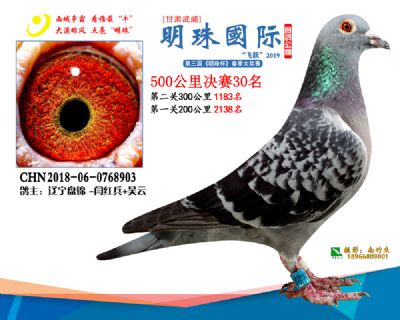 2019武威明珠30