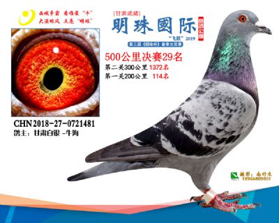 2019武威明珠29