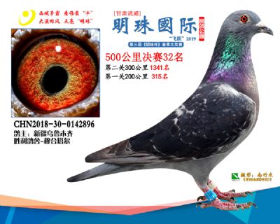 2019武威明珠32
