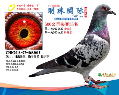 2019武威明珠35