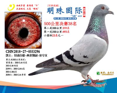 2019武威明珠38